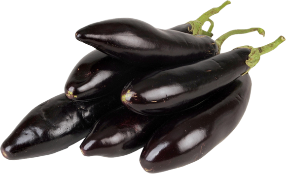 304BERINJELA.png