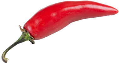 304pimentamalagueta.png