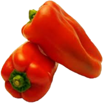 304pimentaovermelho.png