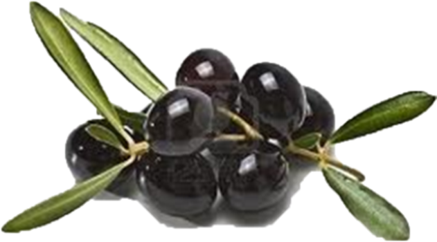 305azeitonapreta.png