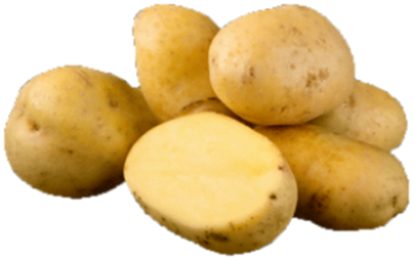 307batata.png