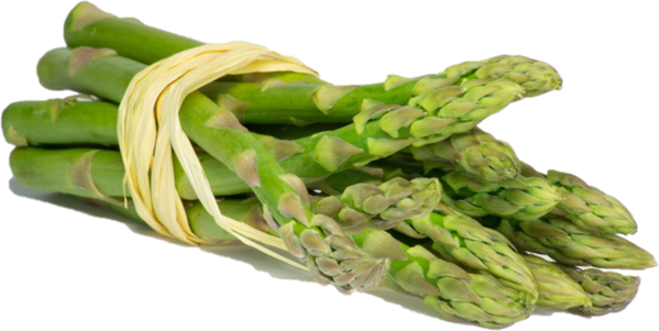 308aspargo.png