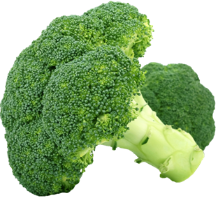 308brocolis.png