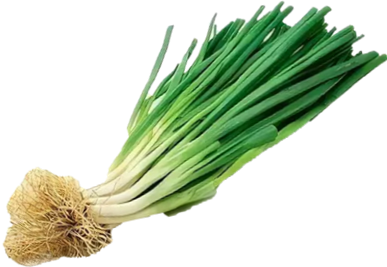 308cebolinhaverde.png