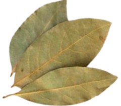 308louro.png