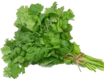 308salsasalsinha.png