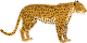 57leopardo2.png