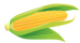 74milho.png