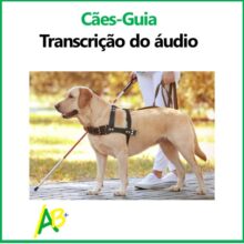 Cães guia transcrição do áudio da tarefa do celpe-bras de 2025/1