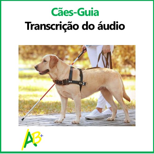 Cães-Guia - Transcrição Do áudio - Celpe-Bras Na Prática