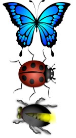 Outros insetos: borboleta, vagalume
