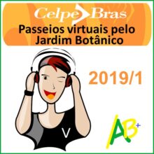 Passeios virtuais celpe-bras 2019/1
