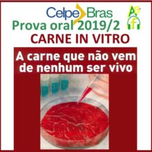 Carne in vitro Prova oral Celpe-Bras 2019/2