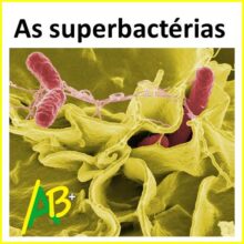 As superbactérias