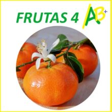 Frutas 4