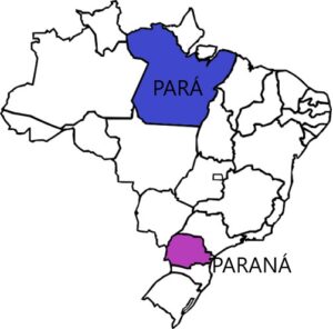 Trabalho voluntário no Pará