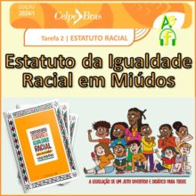 Estatuto da Igualdade Racial em Miúdos