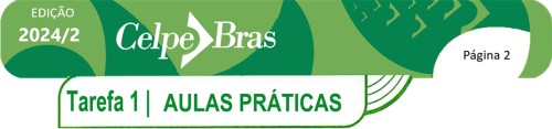 Aulas práticas - Prova Celpe-Bras Granada