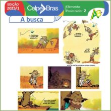 A Busca - Prova oral 2025