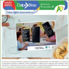 Detox digital Prova oral 2025