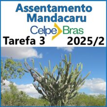Assentamento Mandacaru-prova celpe-bras 2025