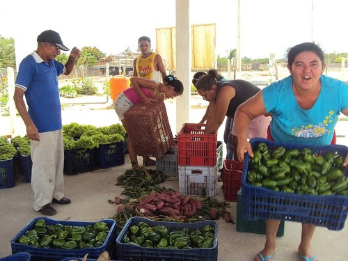 Ozaneide Gomes dos Santos, presidente do assentamento Mandacaru